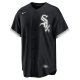 Men's Chicago White Sox Tim Anderson Nike Black Alternate Replica Player Jersey