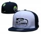 Seattle Seahawks Navy and White Cap