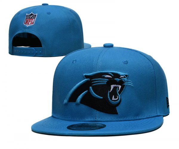 Carolina Panthers Blue Cap